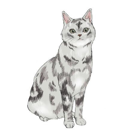 女性獣医師,復職,動物病院,残業,勤務時間,労働基準法