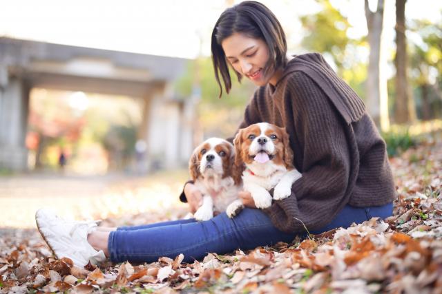 女性獣医師,復職,動物病院,高齢動物,介護,東洋医療