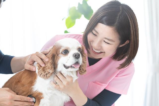 【東京都世田谷区】動物看護士　正社員募集/18:00退社可能・女性が働きやすい動物病院